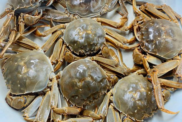 买螃蟹时，只要说了这3个字，老板一听就是懂行的，便不敢忽悠你休闲区蓝鸢梦想 - Www.slyday.coM