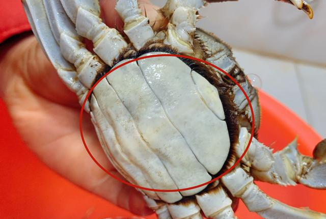 买螃蟹时，只要说了这3个字，老板一听就是懂行的，便不敢忽悠你休闲区蓝鸢梦想 - Www.slyday.coM