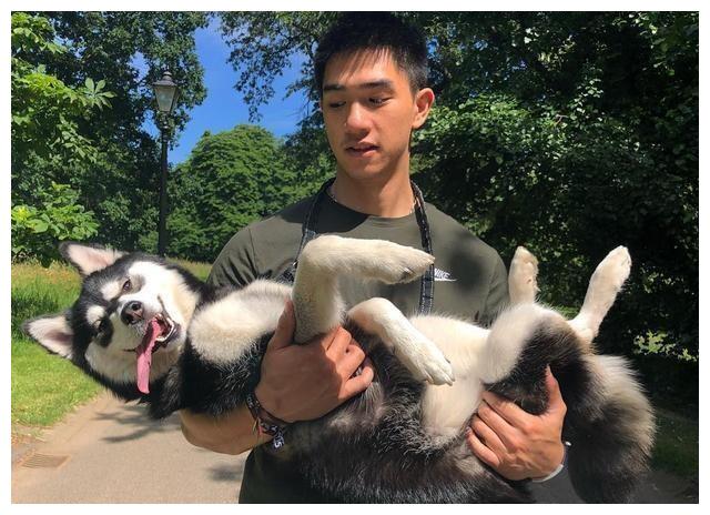 明星豪宅的养犬生活照大曝光张卫健家欢乐木村拓哉家的很唯美