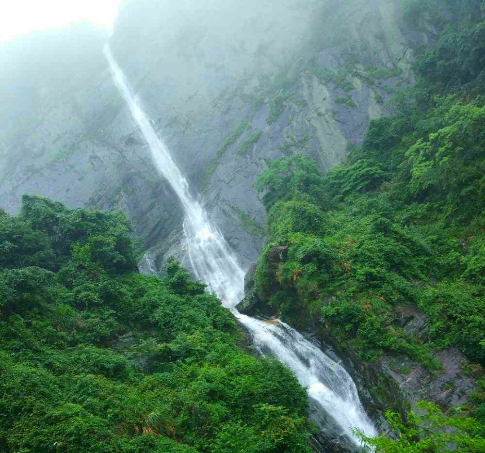徒步庐山秀峰景区,沿途观赏"四秀",登山上下大约需两个半小时__财经