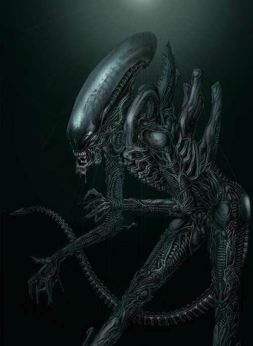 "异形"手机壁纸