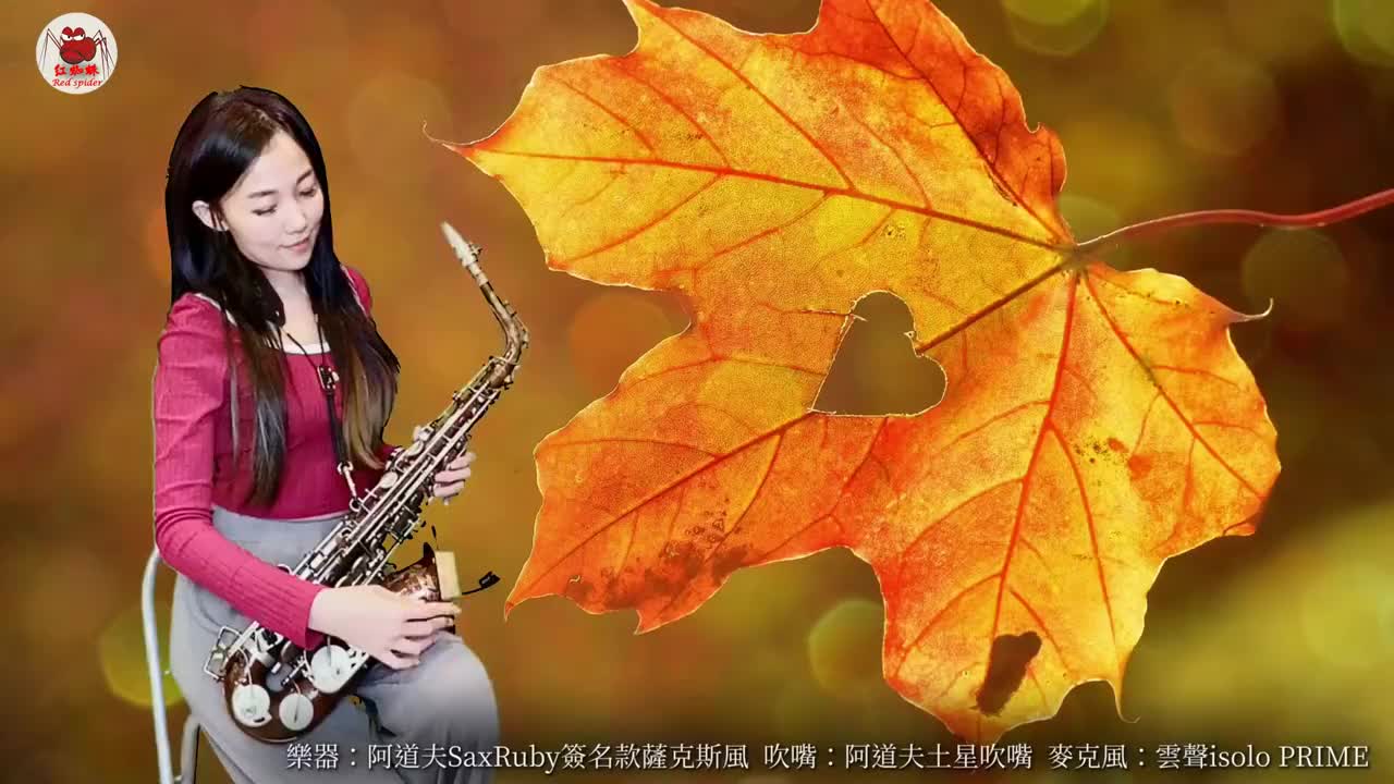 王云希老师示范演奏萨克斯风费玉清《秋诗篇篇》