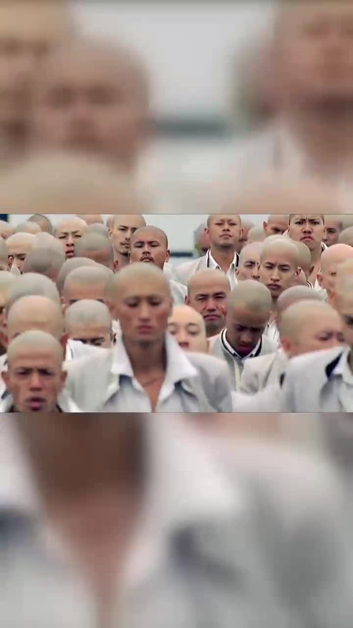 铃兰高校被凤仙挨个偷袭这就是热血高校啊