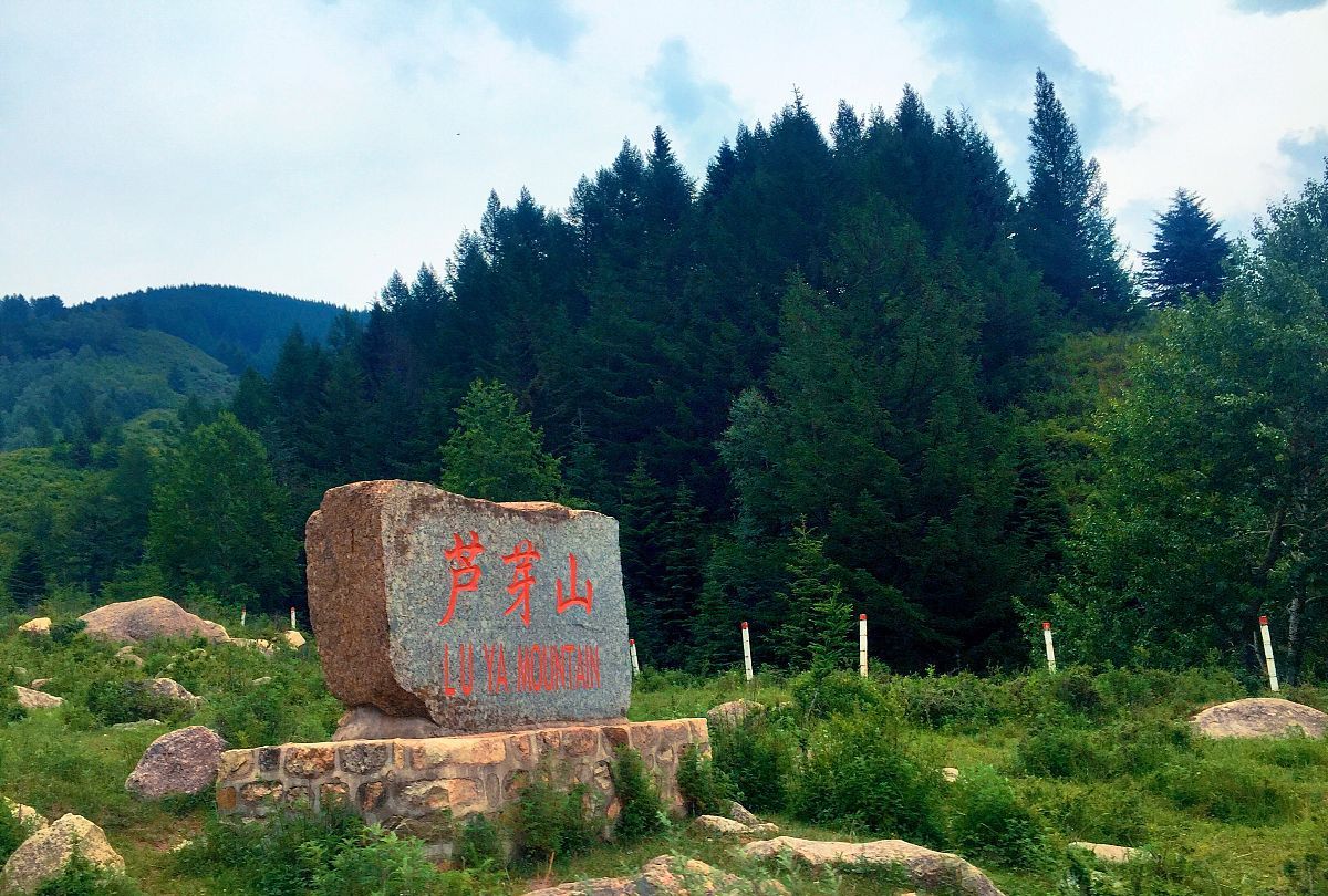美丽的风景,宁武芦芽山