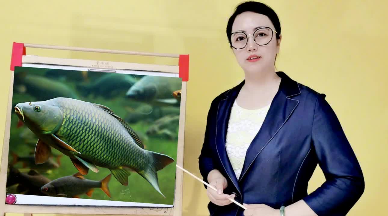 黑坑钓鲤鱼不开口时怎么办美女老师分9种情况来应对全是干货