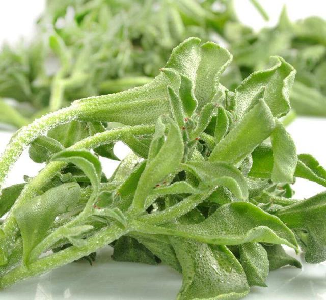 这种水晶蔬菜是蔬菜中的贵族好吃又好看贵的有原因