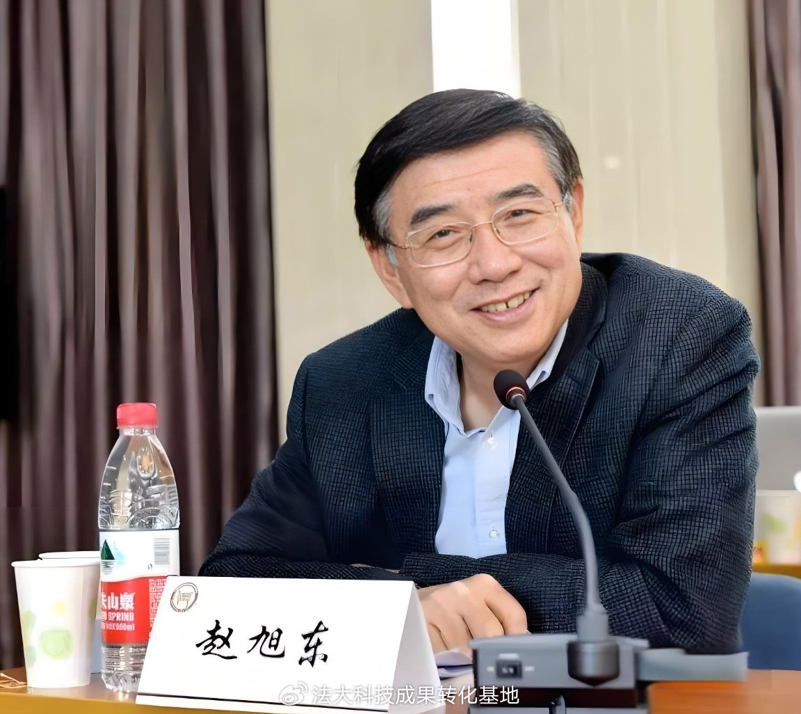 中国政法大学赵旭东教授主编:新公司法诉讼实务指南