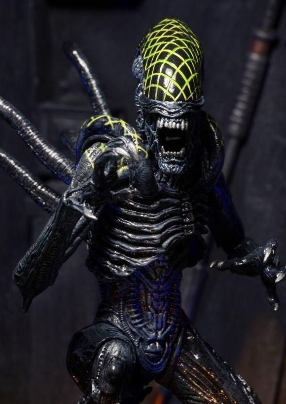 "异形"手机壁纸