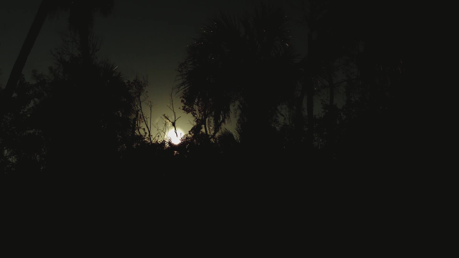 它们拥有鸟类中，罕见的灵敏嗅觉，这对它们来说很有用