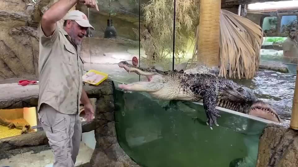 手机屏幕出现蜘蛛螳螂一脸的懵接下来请憋住别笑