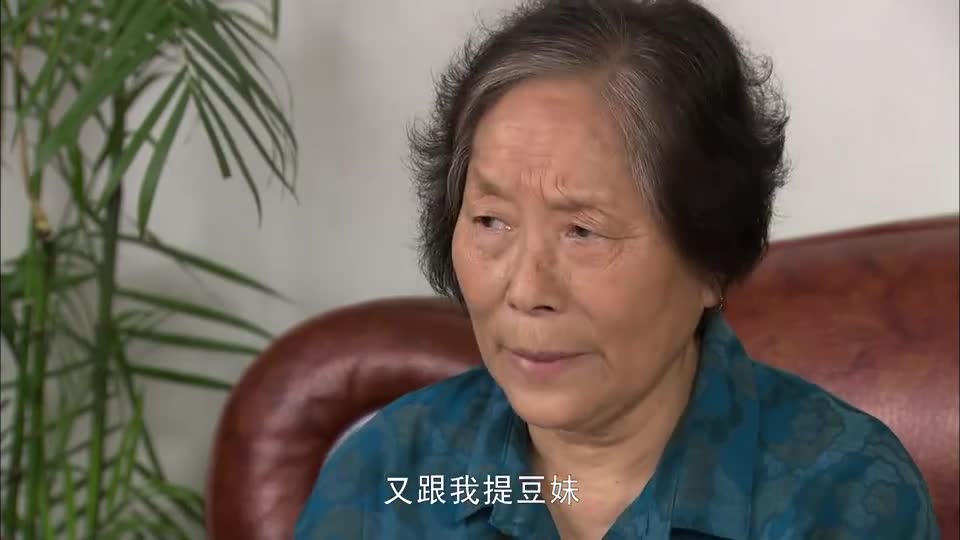 乡里彩虹城里雨中原张口闭口一个豆妹老母亲听了就生气