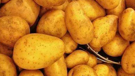 它被称为地下苹果,成外国人主要粮食,中国人一般当蔬菜吃休闲区蓝鸢梦想 - Www.slyday.coM 它被称为地下苹果,成外国人主要粮食,中国人一般当蔬菜吃休闲区蓝鸢梦想 - Www.slyday.coM