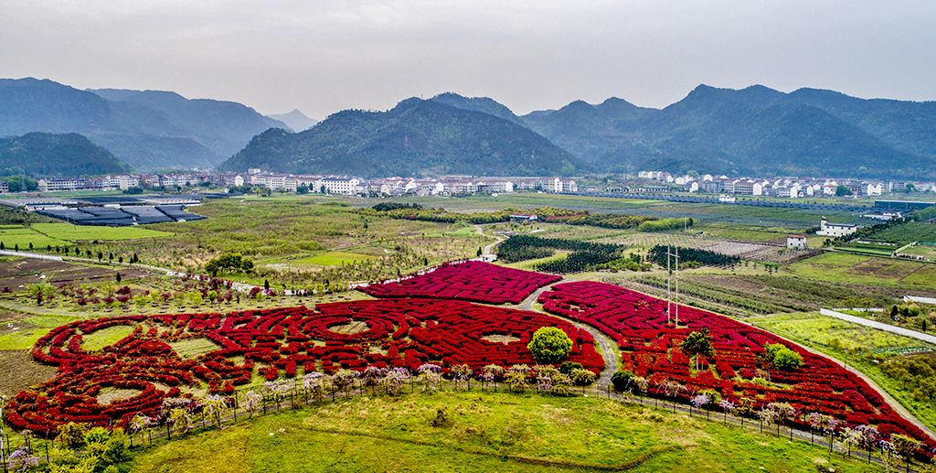 河南省苗圃基地批发市场地址电话是多少
