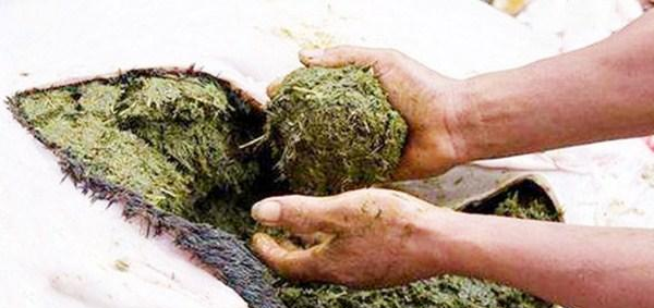 牛身上最“奇葩”的部位,南方人视它为宝,北方人看到直接扔掉休闲区蓝鸢梦想 - Www.slyday.coM 牛身上最“奇葩”的部位,南方人视它为宝,北方人看到直接扔掉休闲区蓝鸢梦想 - Www.slyday.coM