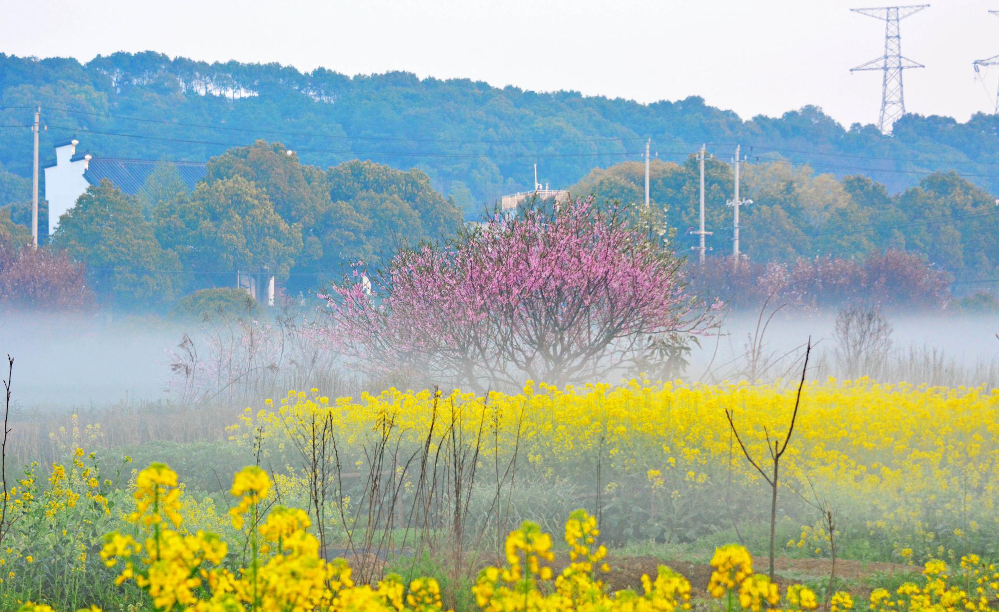 斗山乡村的春日早晨,江苏无锡锡山区锡北镇.