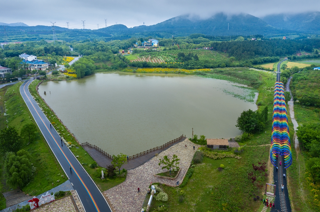 龙城乡情好山好水牛马塘曹山花居地瓜村顾常华摄影