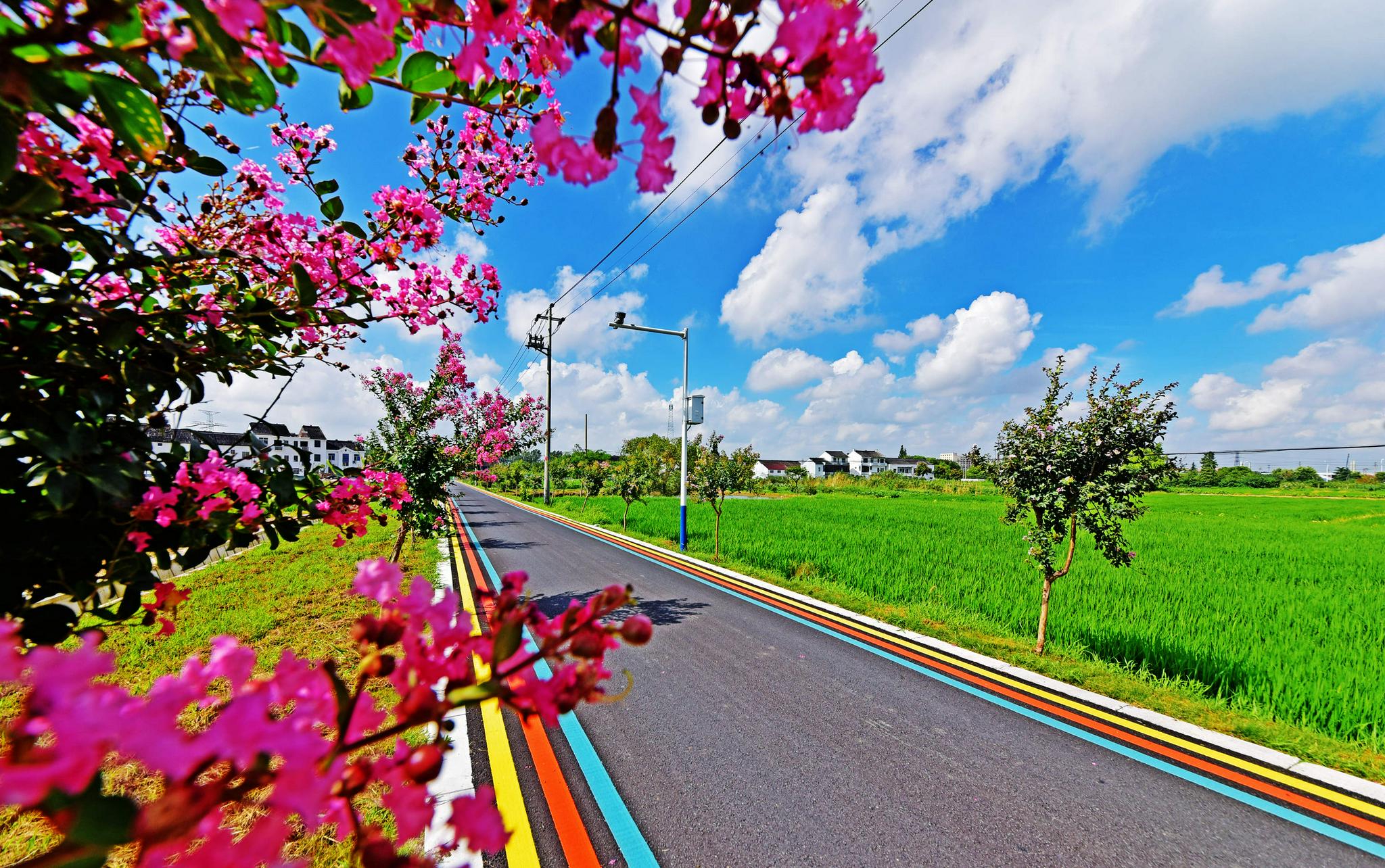 乡村道路绿化,美化,黑色化,乡村颜值不断提升.无锡锡山锡北镇