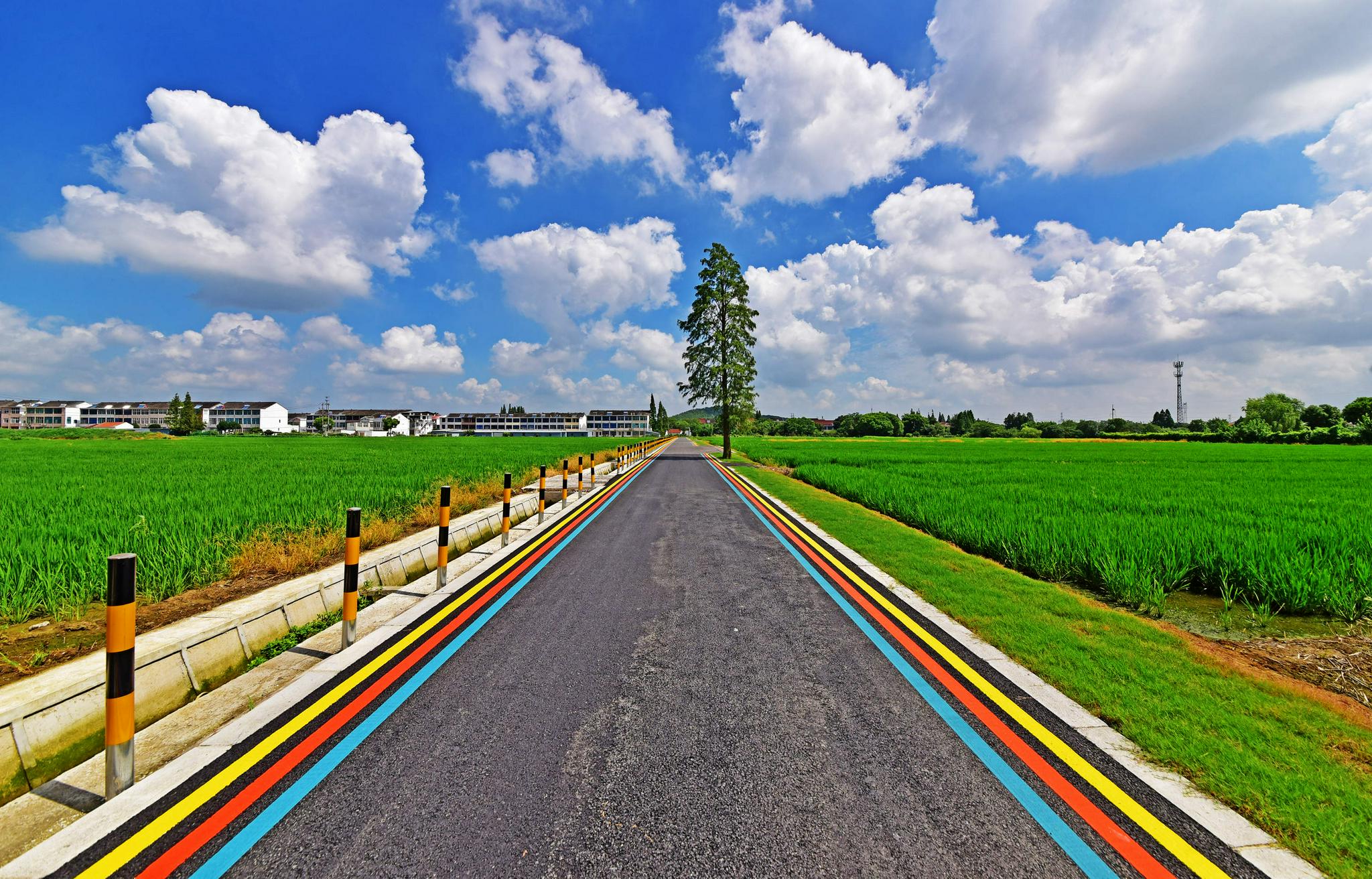 乡村道路绿化,美化,黑色化,乡村颜值不断提升.无锡锡山锡北镇