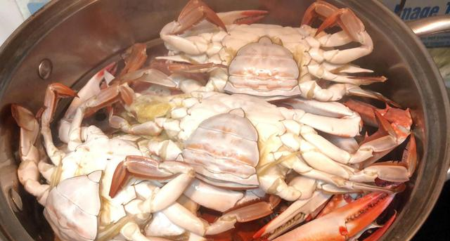 买梭子蟹,一定说出“这句话”,老板一听是懂行的,准拿肥蟹给你休闲区蓝鸢梦想 - Www.slyday.coM 买梭子蟹,一定说出“这句话”,老板一听是懂行的,准拿肥蟹给你休闲区蓝鸢梦想 - Www.slyday.coM