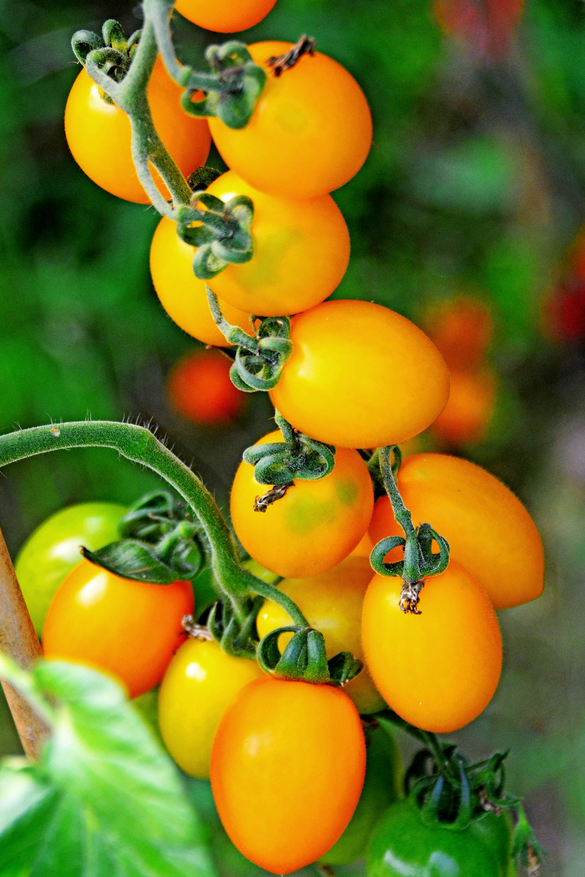 多彩的夏季 多彩的大自然__财经头条