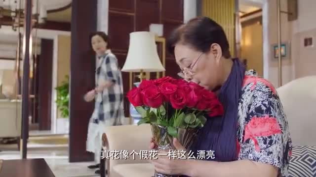 小幸福：金兰回来看见花束，问曹阿姨谁买的，曹阿姨直言金兰女婿