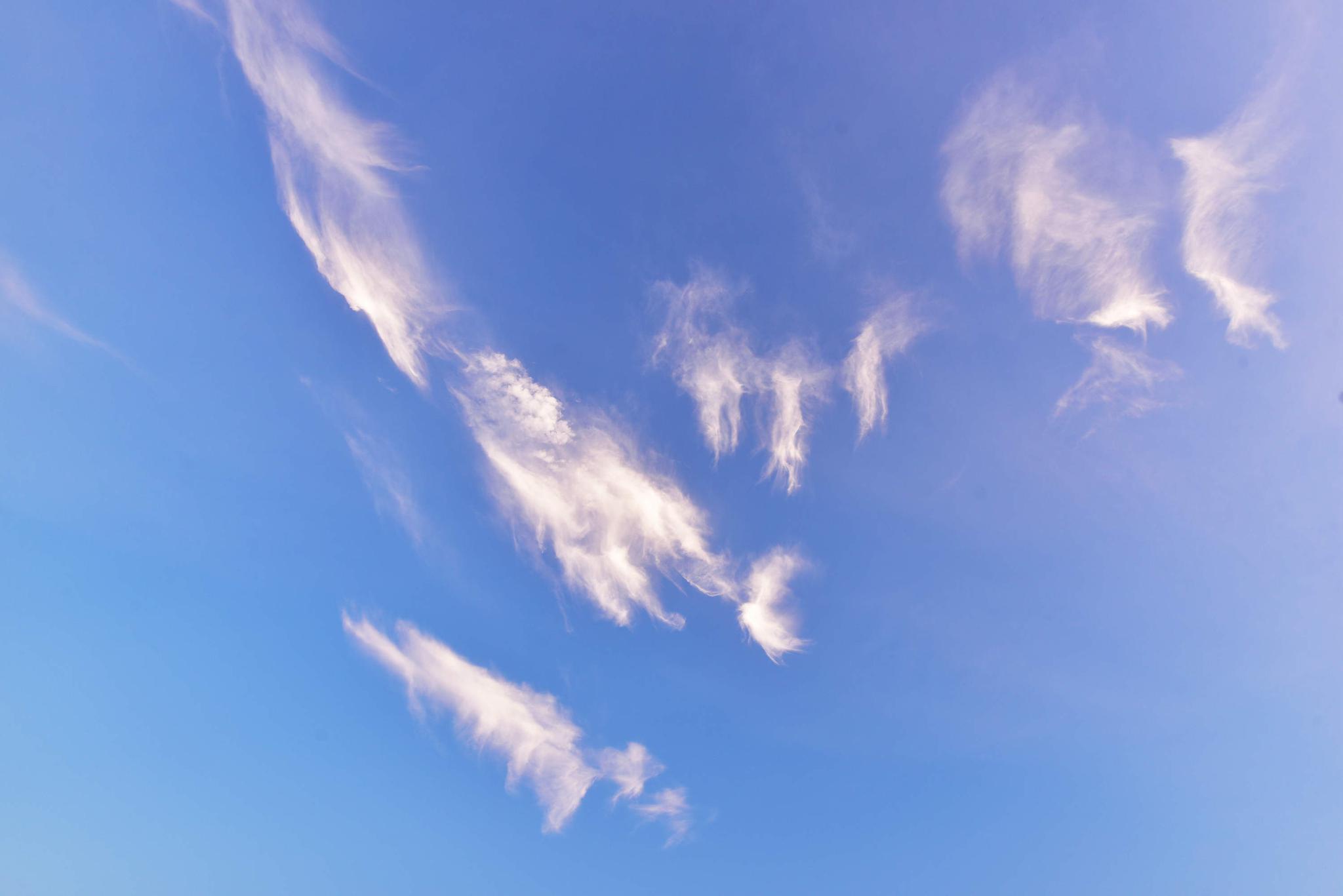 梅雨季难得一见晴好天气早晨日出时分天空美丽景象