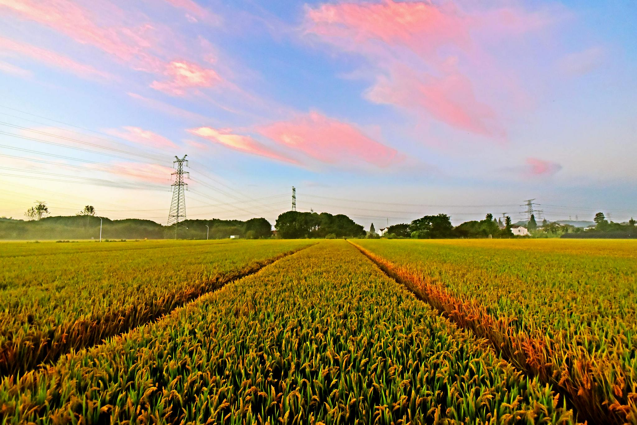 乡间清晨,霞映田野山村.|山村|锡北镇|斗山_新浪新闻