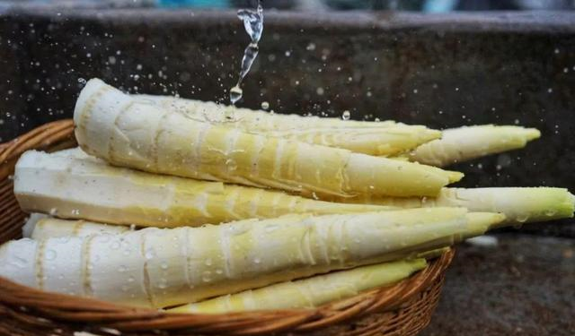 竹笋怎么保存（竹笋怎么保存新鲜竹笋怎么保存）