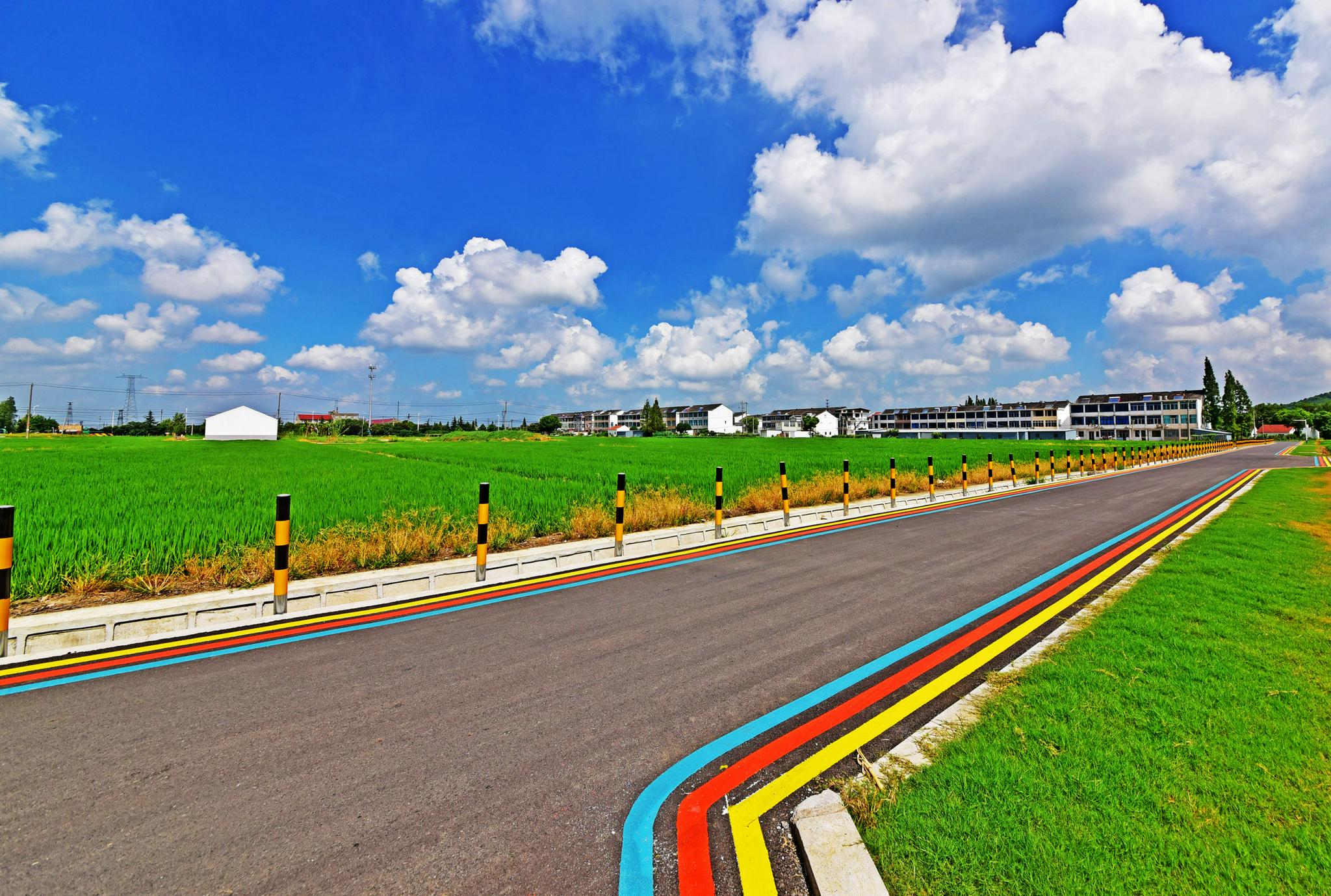 乡村道路绿化,美化,黑色化,乡村颜值不断提升.无锡锡山锡北镇