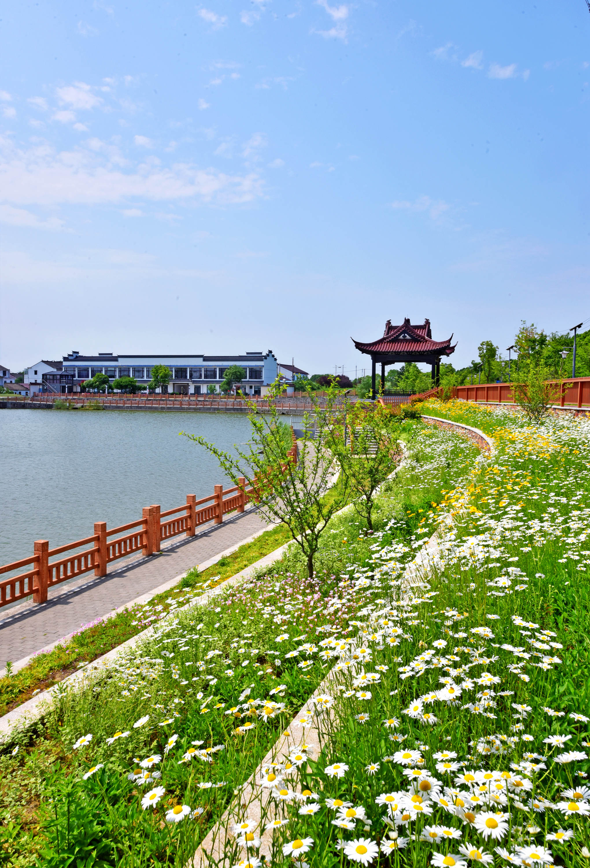 夏花灿烂,山水相依,美丽乡村.江苏无锡锡山区锡北镇斗山村.__财经头条
