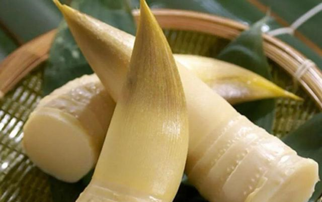 竹笋怎么保存（竹笋怎么保存新鲜竹笋怎么保存）