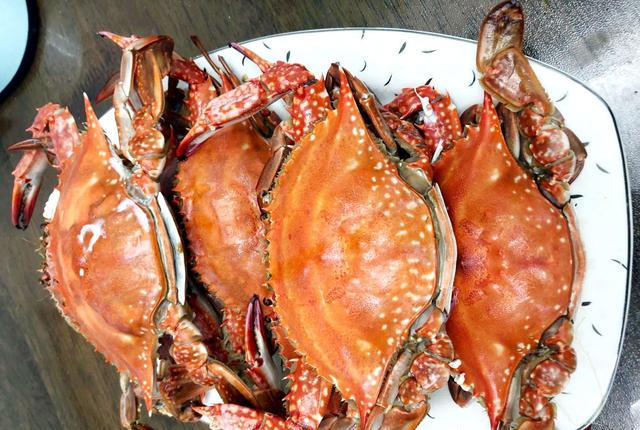 买梭子蟹,一定说出“这句话”,老板一听是懂行的,准拿肥蟹给你休闲区蓝鸢梦想 - Www.slyday.coM 买梭子蟹,一定说出“这句话”,老板一听是懂行的,准拿肥蟹给你休闲区蓝鸢梦想 - Www.slyday.coM