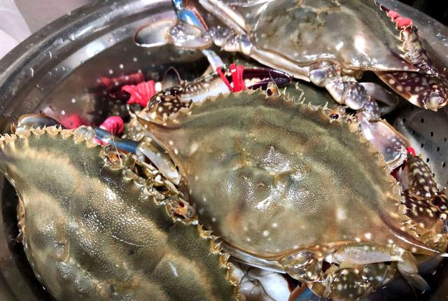 买梭子蟹,一定说出“这句话”,老板一听是懂行的,准拿肥蟹给你休闲区蓝鸢梦想 - Www.slyday.coM 买梭子蟹,一定说出“这句话”,老板一听是懂行的,准拿肥蟹给你休闲区蓝鸢梦想 - Www.slyday.coM