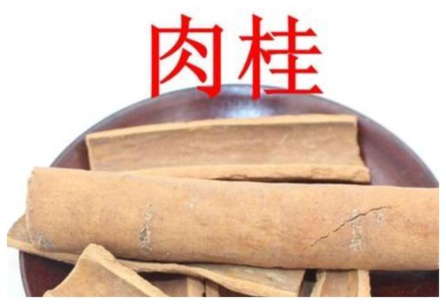 买桂皮时容易将桂皮与肉桂搞错教你一招不会买错