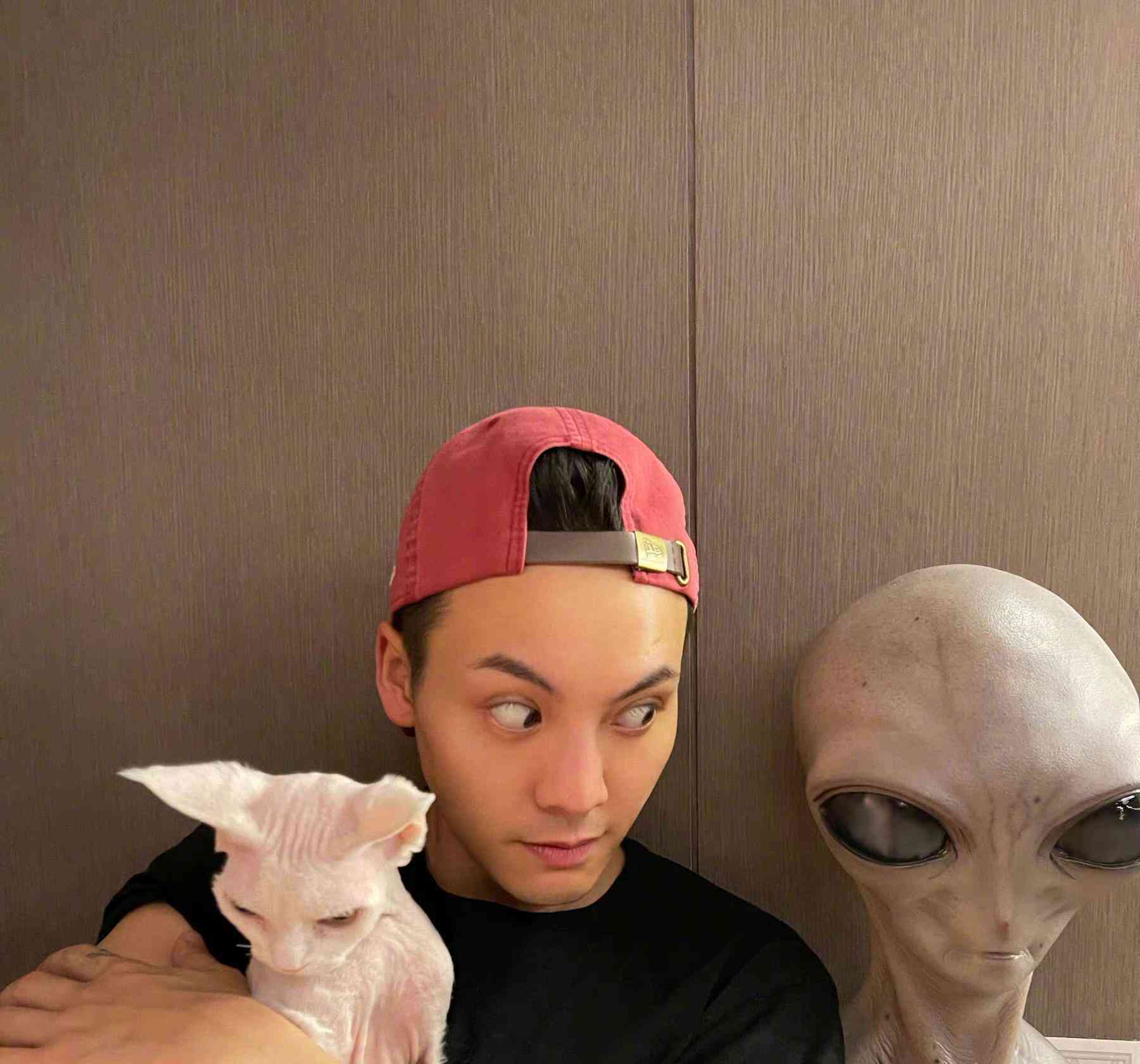 陈伟霆真皮,抱宠物猫和"外星人"对视,网友笑到了