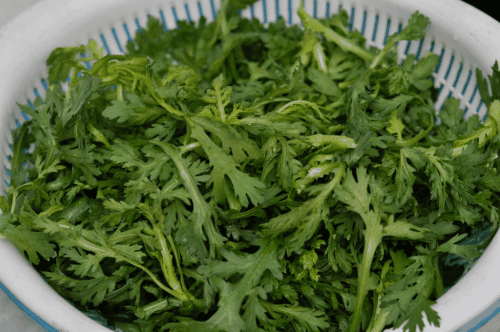 茼蒿菜250g,香油少许,米醋少许,食盐少许,鸡精少许茼蒿菜口感十分的