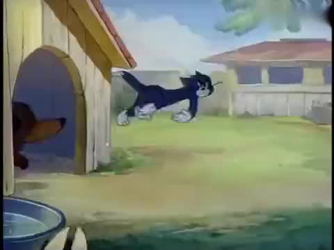 危机公关：狗哥城中村嫖妓事件真相揭秘和背后故事