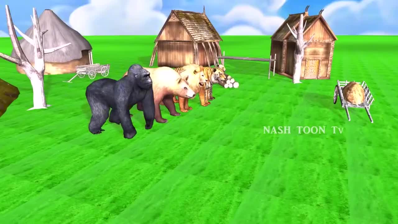 五只小动物走秀,各有千秋,大猩猩的走姿太霸气!