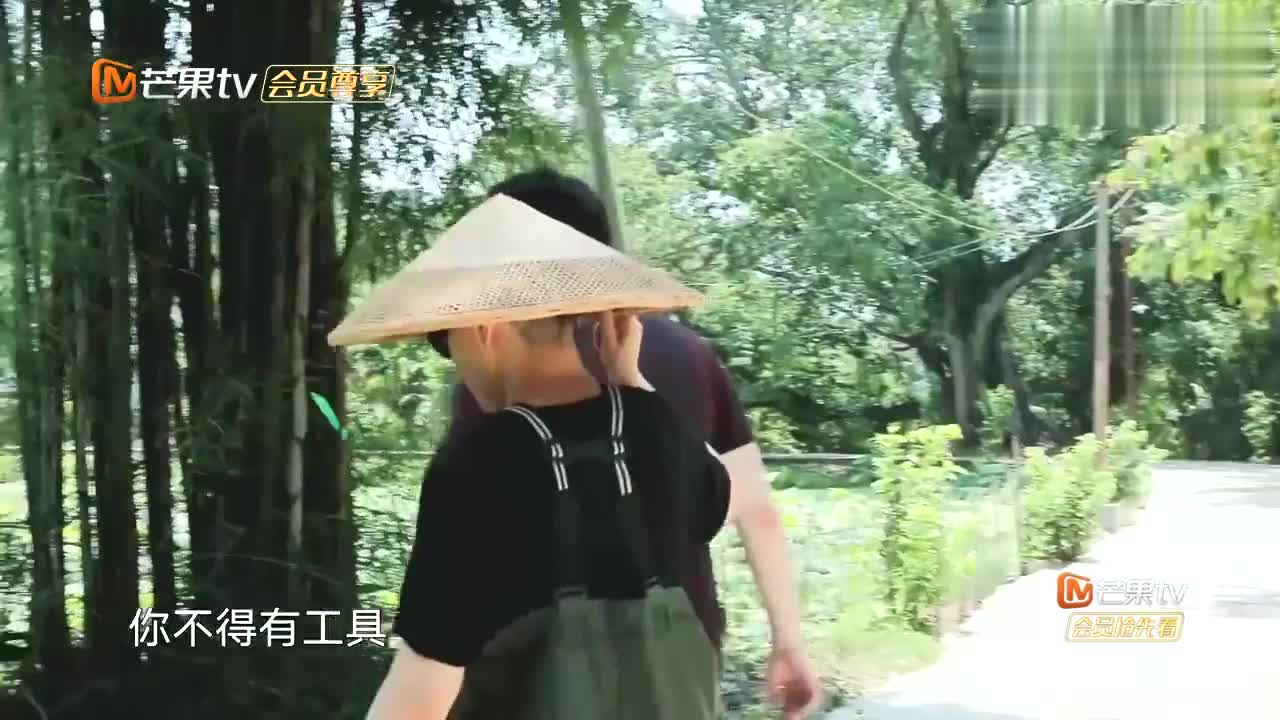向往4 宋丹丹摘莲子 输出全靠吼 何炅吐槽 你比知了还吵