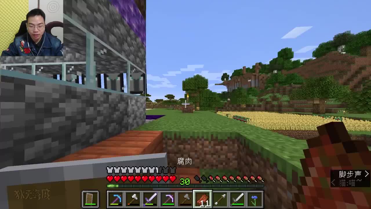 我的世界 30级附魔铁镐 获得横扫之刃效果