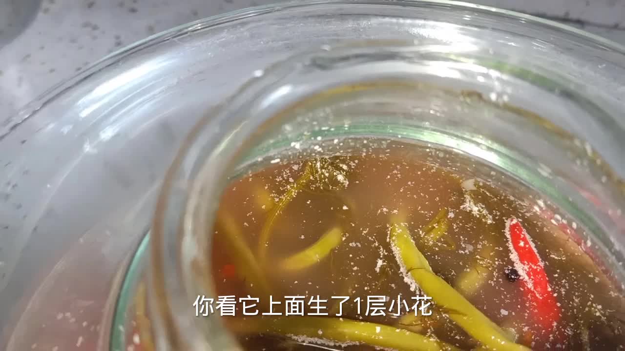 泡菜坛生花,放白酒都不管用,四川人教你一招,盐水清亮不生花