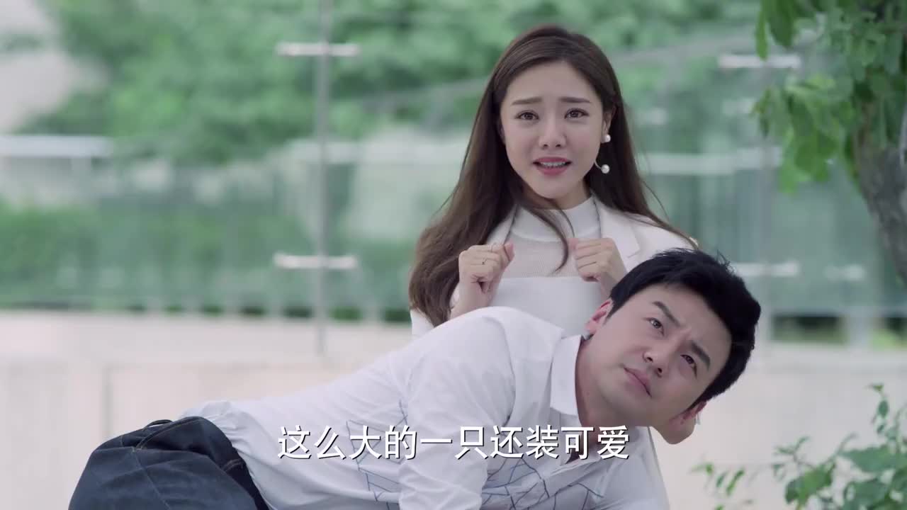 我不是精英在米阳的努力下终于把韦晶哄好了不再生气了