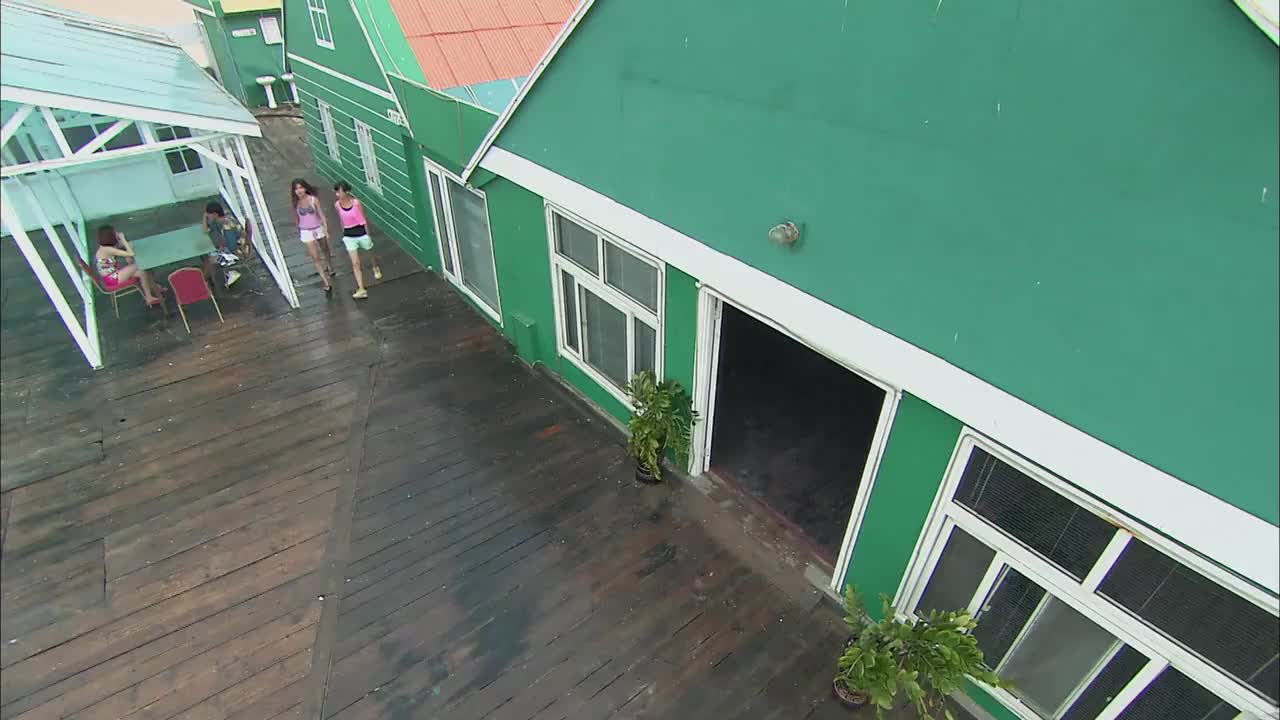 海岛救护队胖子看到莫妮卡丢下八哥跑去找她