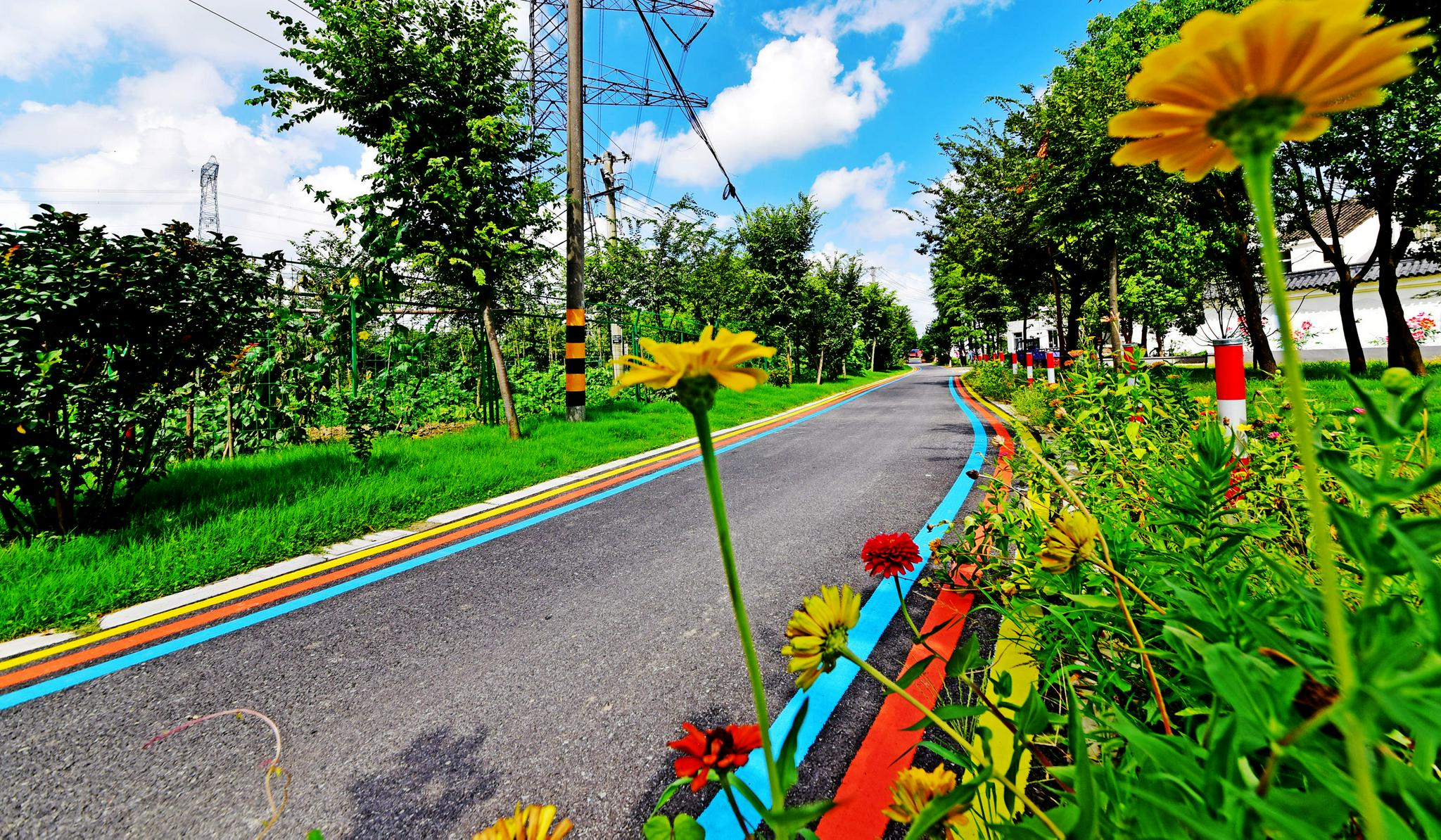 乡村道路绿化,美化,黑色化,乡村颜值不断提升.无锡锡山锡北镇