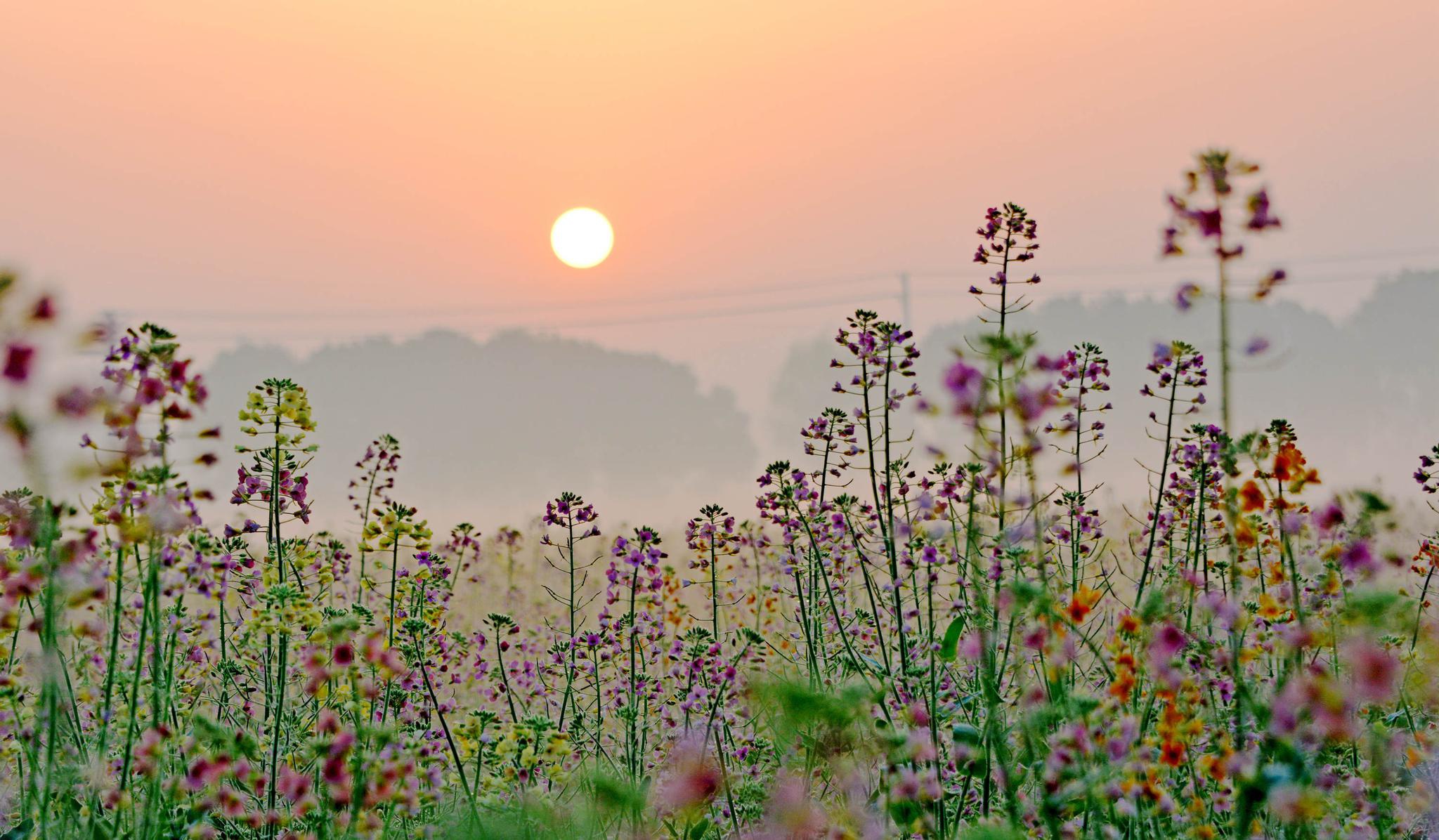 斗山乡村的春日早晨,江苏无锡锡山区锡北镇.
