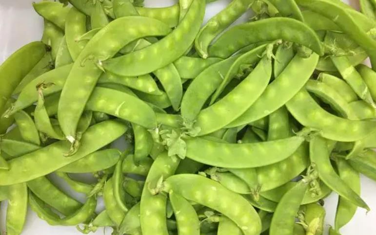 荷兰豆跟豌豆有什么区别