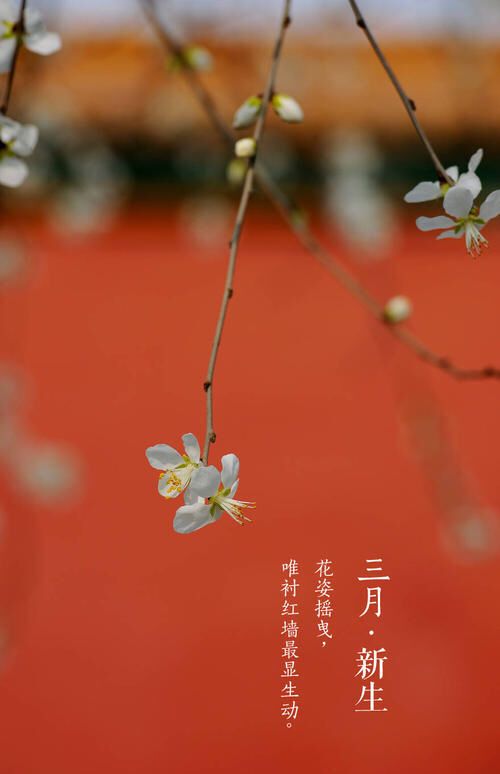 故宫十二月份壁纸集锦