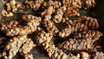 这些让人想到就难以下咽的“美食”,你敢吃吗?休闲区蓝鸢梦想 - Www.slyday.coM 这些让人想到就难以下咽的“美食”,你敢吃吗?休闲区蓝鸢梦想 - Www.slyday.coM