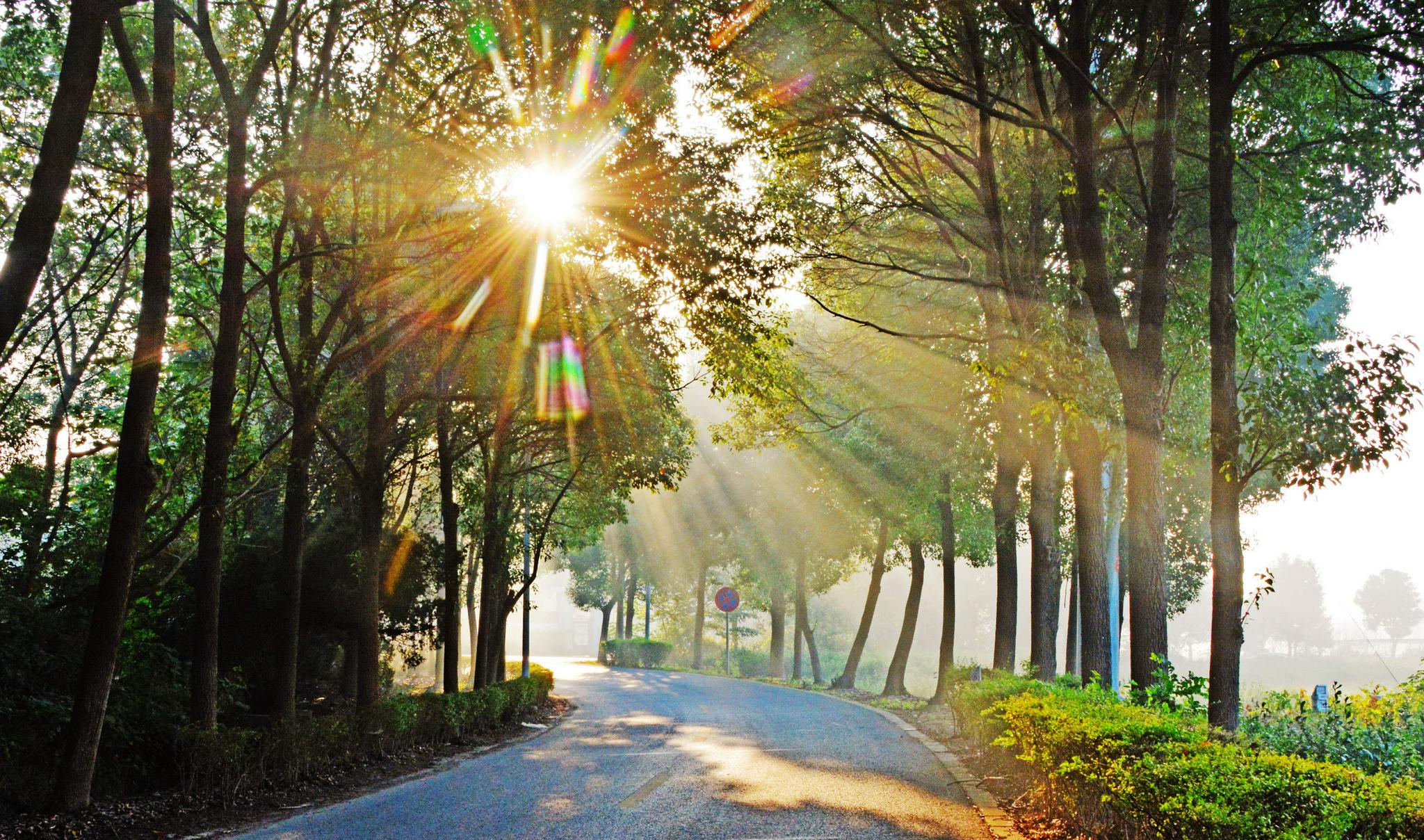 光影斗山清晨路上