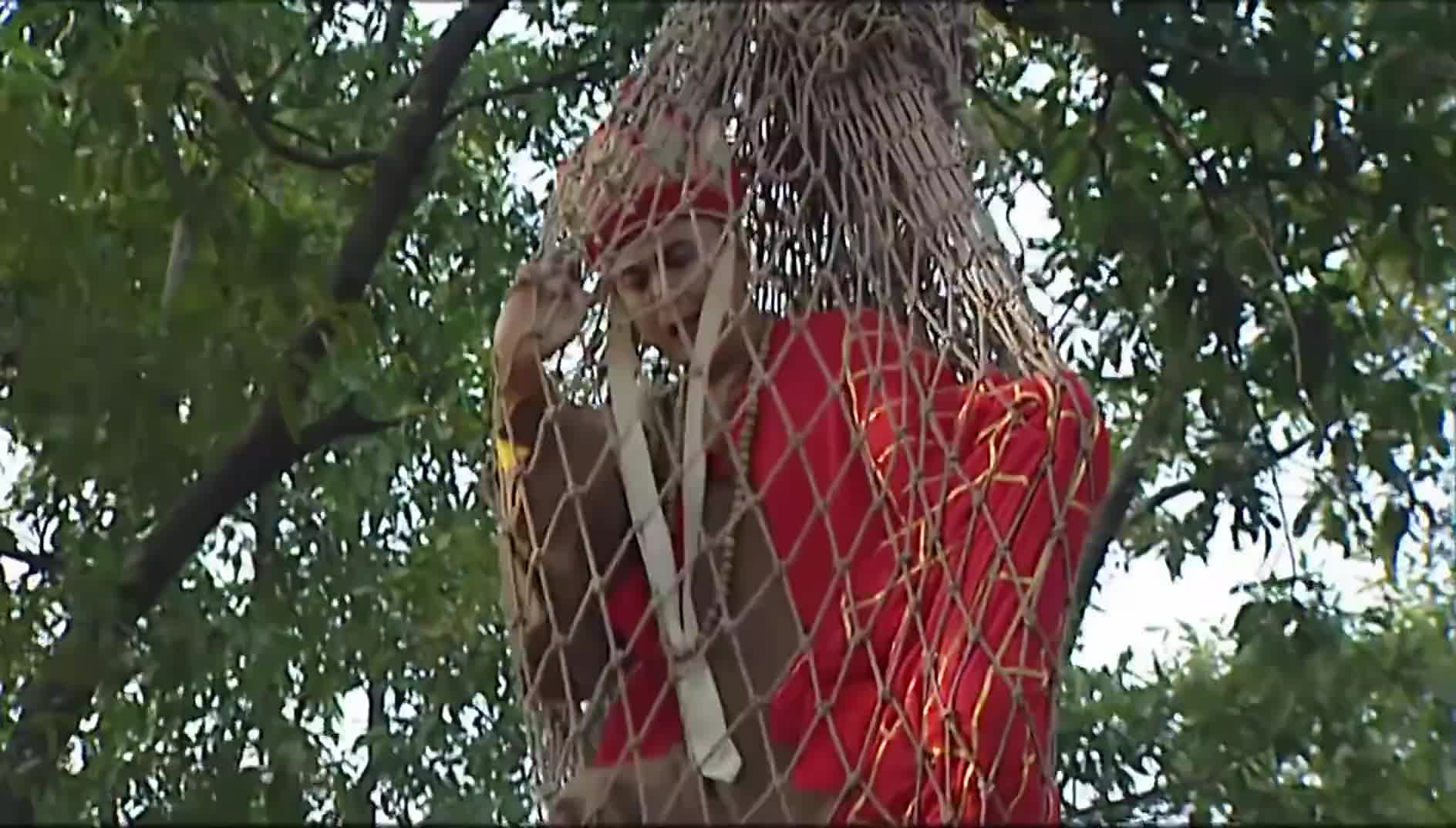 西游记唐僧被吊在树上沙僧以为师傅在荡秋千真是太逗了